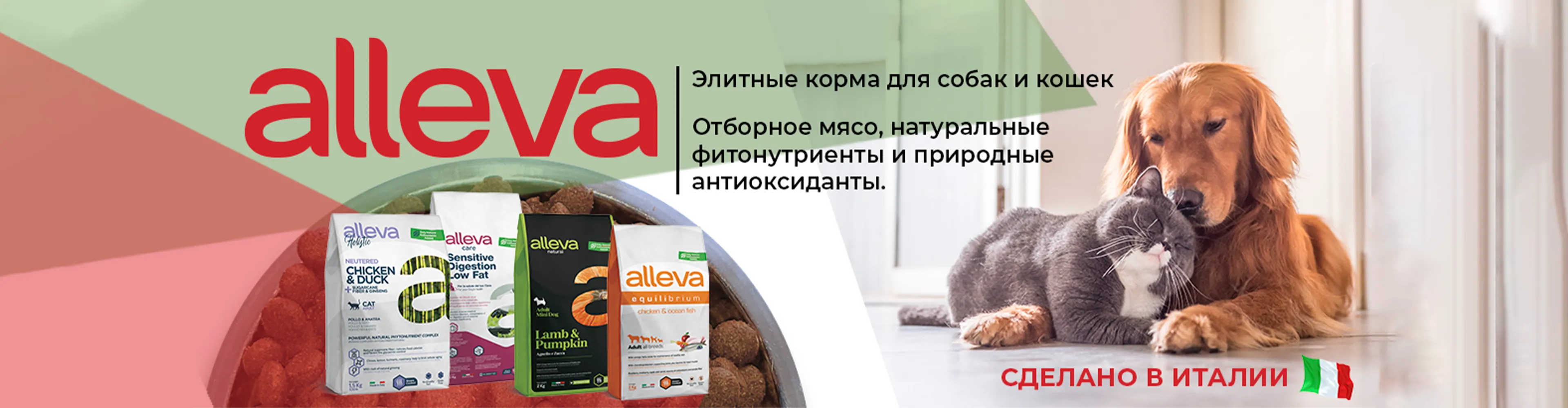 ALLEVA
